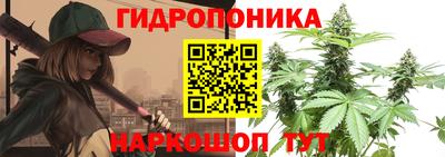 молекула духа Лесосибирск