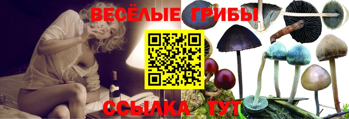 Псилоцибиновые грибы GOLDEN TEACHER Ижевск